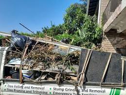 Best Basement Cleanout  in Chain Lake, WA